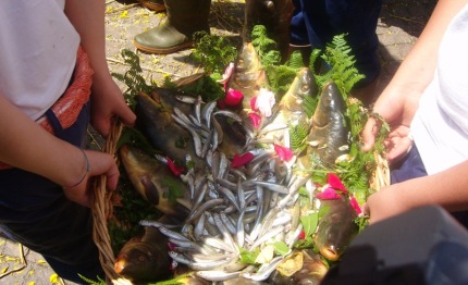 le associazioni ambientaliste contro le deroghe per la pesca