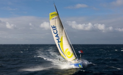 vendee globe welcome to the land of the albatross