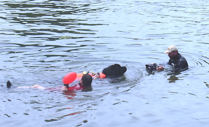 salone nautico 2016 dimostrazioni sicuro in mare con kingii cani di acsn