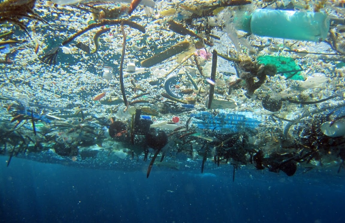 giornata oceani pubblicato studio italiano su plastiche galleggianti in mediterraneo