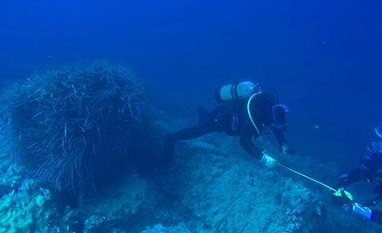 archeologia subacquea tra pozzallo ispica rinvenuti reperti di una nave lapidaria