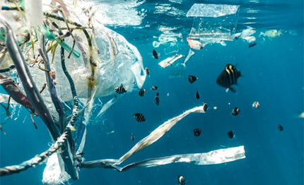 the ocean race archwey insieme contro il problema della plastica nei mari