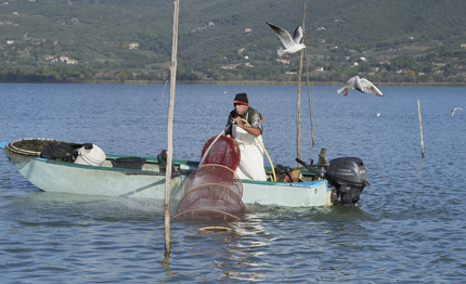 la pesca tradizionale del lago trasimeno diventa presidio slow food