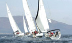 sailing challenge spiega le vele del mice