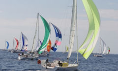 si incrociano le vele di transquadra vendee globe