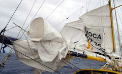 vendee globe critici sono velisti da scrivania