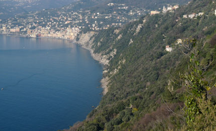 nasce il miglio blu la corsia marina dedicata ai nuotatori