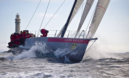 fastnet soldini pescato da una rete
