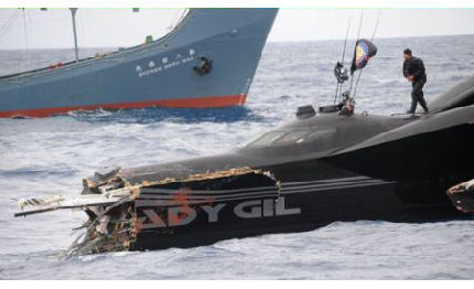 balene giapponesi speronano il trimarano ecologista