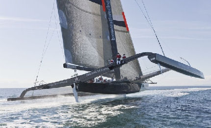 oracle alinghi mente vogliamo le scuse