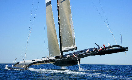 america cup in cauda venenum