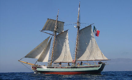 tall ships vince italiana pandora