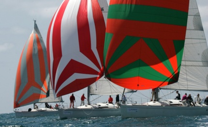 allure di nicola granati vince la comet cup