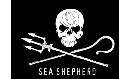 malta guerra dei tonni tra ecologisti pescatori