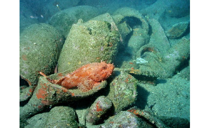 due relitti romani con carico di anfore ritrovati panarea