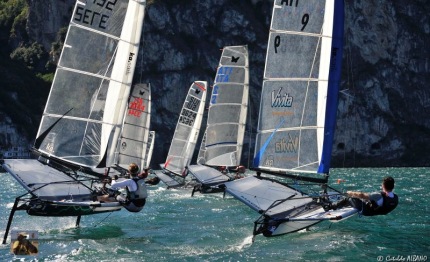 moth il titolo italiano va peter stuffer
