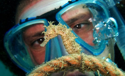 safari fotografico subacqueo portofino