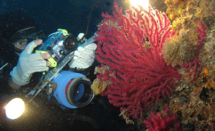 concluso il 30 campionato italiano di safari fotosub