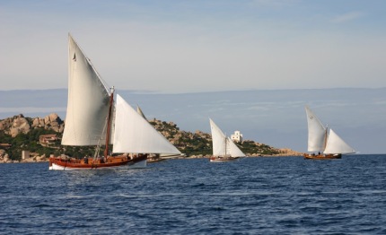 ruggisce il leone di gallura alla regata di mezzo schifo