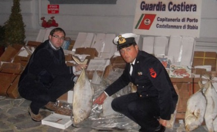 tonnellate di pesce adulterato per il cenone di capodanno