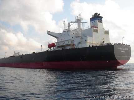sequestro savina caylyn proposta sicurezza privata tutela dei marinai