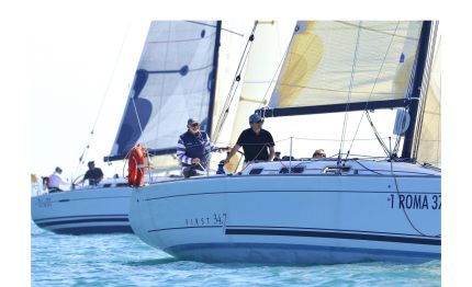 tani tasky vince la 41 parallelo