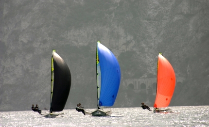 porto pollo giovani leoni dei 49er