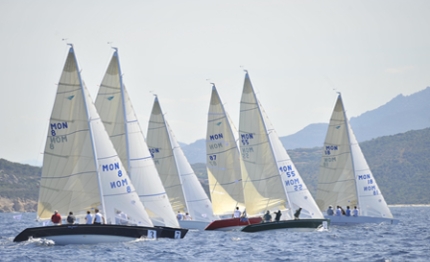 smeralda vince invitational smeralda 888