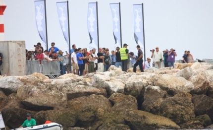 america cup new zealand leader cascais