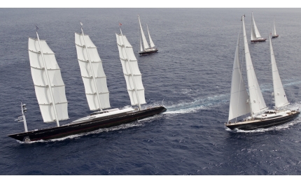 maltese falcon vince la perini navi cup 2011