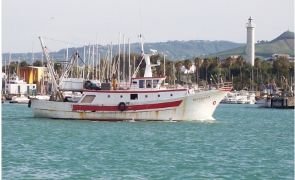 caro gasolio in sciopero anche pescatori