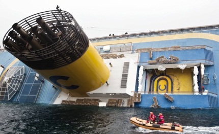 costa concordia impatto sui delfini dell arcipelago toscano