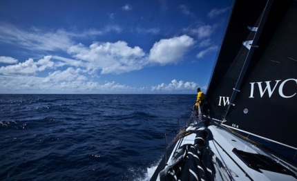 vor dubbio neozelandese