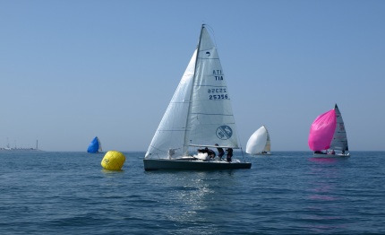 trionfa il platu 25 siddharta flock vmg