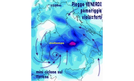 america cup il mini ciclone del venerd 236