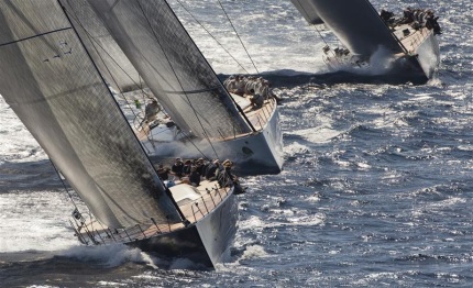 maxi yacht rolex cup maximum competition maximum spectacle