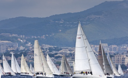 millevele 2012 vince itacentodue di adriano calvini