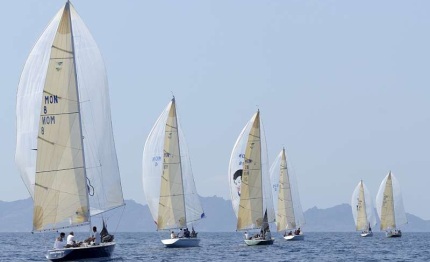 va ai vitelloni invitational smeralda 888