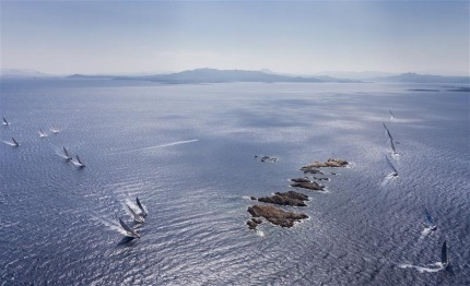 rolex swan cup swans attack building breeze