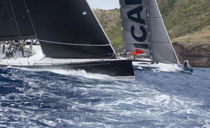 caribbean 600 vincono paradox icap leopard