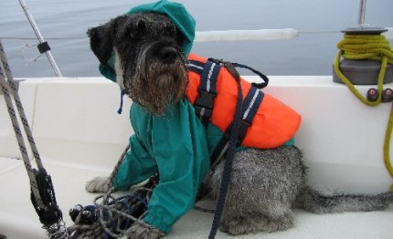 bauskipper
