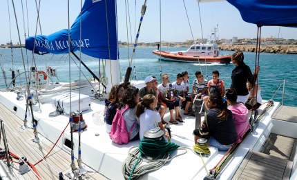 marina militare concluso il progetto delfini guardiani