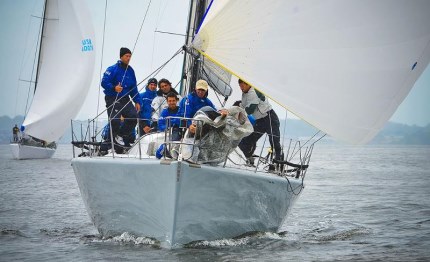 newport barking mad in testa enfant terrible terza