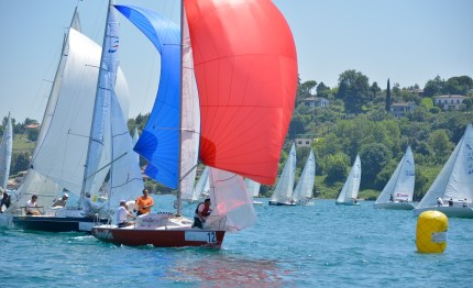 protagonist gattone in testa prima del gran finale