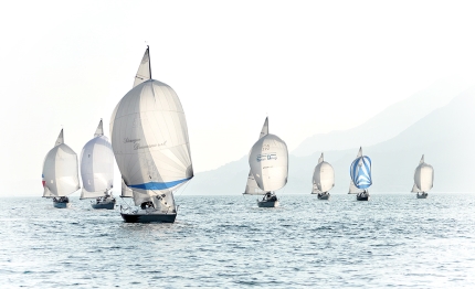 dumbo campione europeo fun