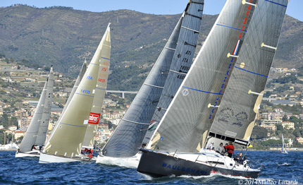 west liguria vince paul shark seawonder