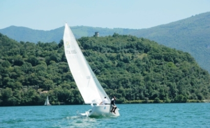 blue moon econova leader tem cup 2014