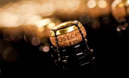 prosecco cup champagne per una notte