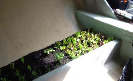 matteo miceli 30 giorni alla partenza del giro del mondo in solitario