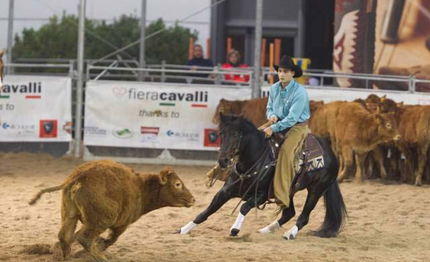 si apre domani verona la 116 edizione di fieracavalli
